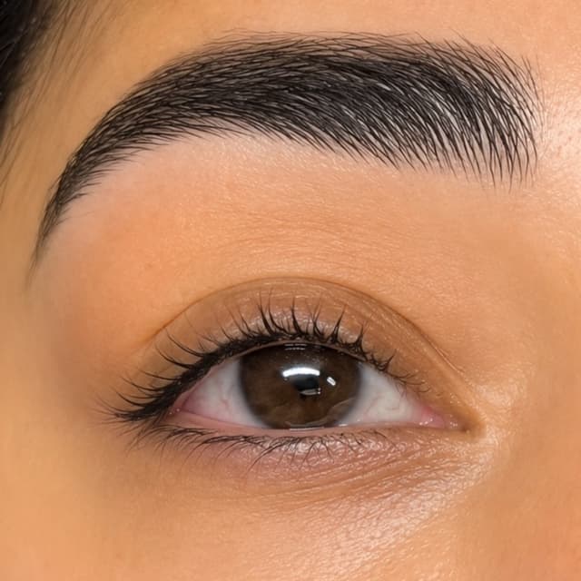 LASH LIFT MEMBERSHIP at Zen Beauty Lounge in Stroudsburg, PA